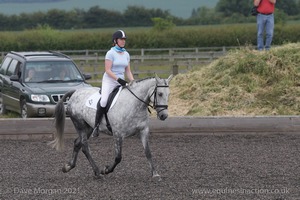 ISIS Dressage Challenge 2008